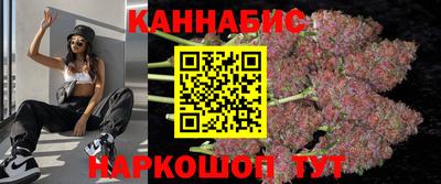 стаф Будённовск