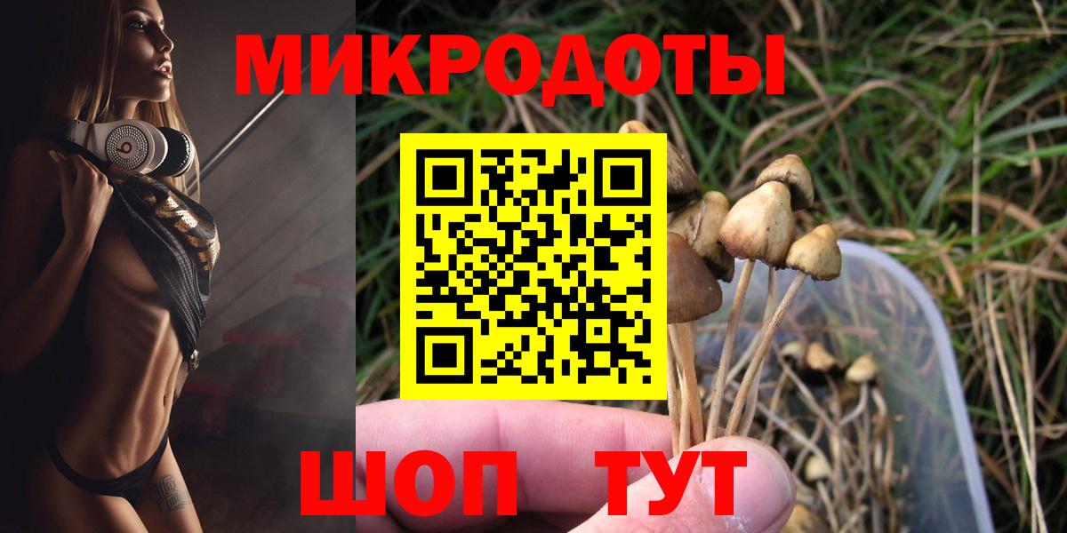 Псилоцибиновые грибы прущие грибы Родники