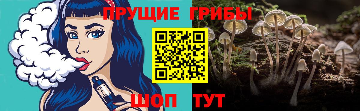 Родники  Псилоцибиновые грибы мухоморы  Вход с VPN 